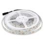 VT-5050 60 11W/M LED STRIP LIGHT 6400K IP65 (5M/ROLL)(PRICE PER M)