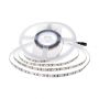 VT-2835 168 12W/M LED STRIP LIGHT 3000K IP20 24V (5M/ROLL)(PRICE PER M)