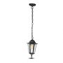 VT-752 E27 CEILING LAMP-MATT BLACK