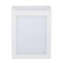 VT-822 12W Lampa scienna LED / Barwa:4000K / Obudowa: Biala